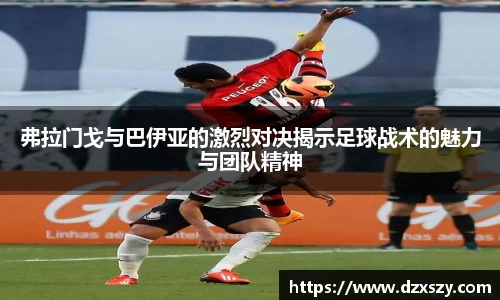 完美体育