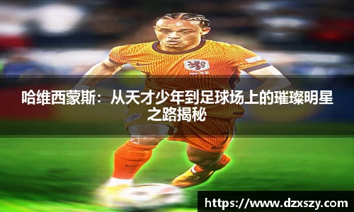 完美体育官网